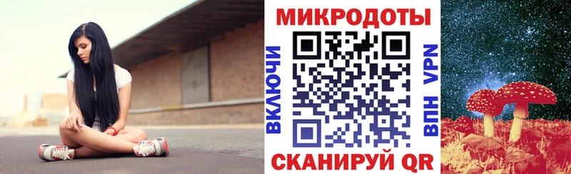 Галлюциногенные грибы мухоморы Заполярный
